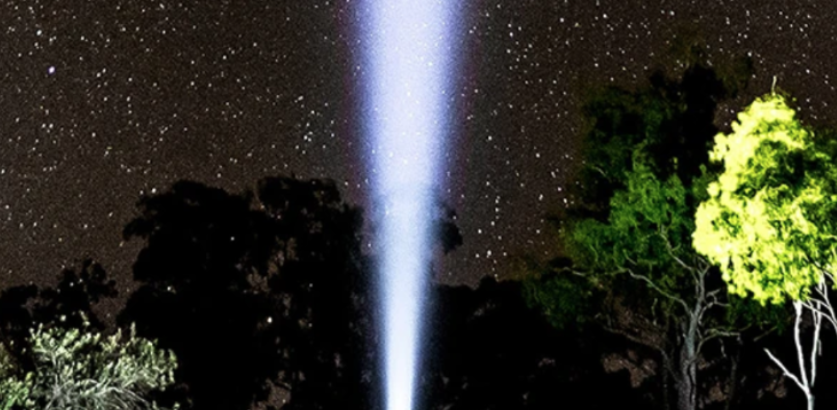 Which LEDLENSER Light is Best for You?