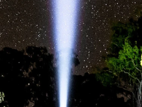 Which LEDLENSER Light is Best for You?